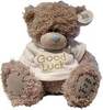 Good luck Teddy Bear