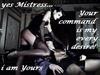 Mistress slave