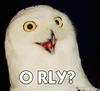 the &quot;o rly&quot; owl