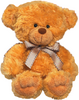 a cute teddy bear