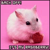 A Rasberry
