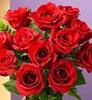 Dozen Red Roses