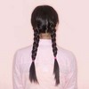 Braided pig tails