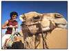 Camel Trip