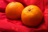 *mandarin orange*