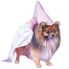 doggie princess costume