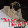 You are a SEXY BEAST