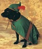 doggie robin hood costume