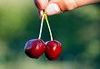 Pop Your Cherry