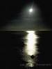 A moonlit night voyage