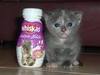 Whiskas cat milk