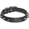spiked collar