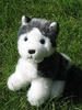 a wolf plushie