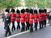 Irish Guards Honour Troop