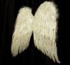 angel wings