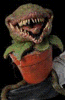 Man Eating Plant