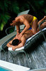 water massage
