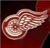 Detroit Red Wings 2008