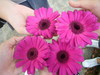 FLOWERS !  :D