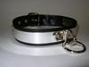 Leather and Steel Slave Collar