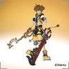 KH II: Sora Master Form