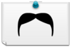 A Fumanchu Moustache!