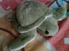 Cute Toy Turtle