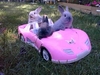 Ride From a Bunny