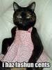 Cat with fashion sense?? :)