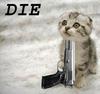 DIE ! if u dare to touch my pet.