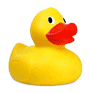 Rubber duckie to play with