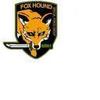 Foxhound Insigina Pin 