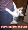 Suprise buttsecks!