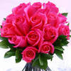 ♥pink roses♥