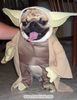 You've been YODA-fied