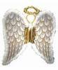 angel wings