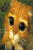 A look of love