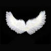 Angel Wings