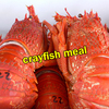 Yummy Crayfish Meal!