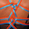 Knotless Harness