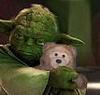 Yoda's bear.