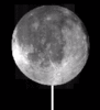 The Moon on a Stick