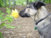 Stop to smell the roses