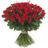 101 Red roses