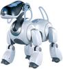 Robot Dog