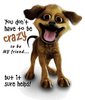 Crazy Dog Friend