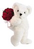 Teddy bear with roses for you 