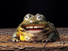 a laughing frog
