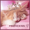 ~U are My kitty princess~