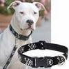 Paw and crossbones collar